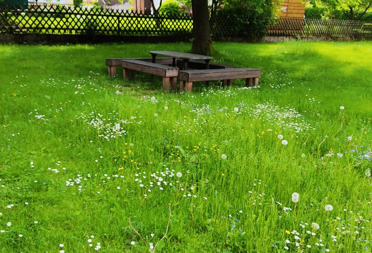 Lauschiger Gartenplatz